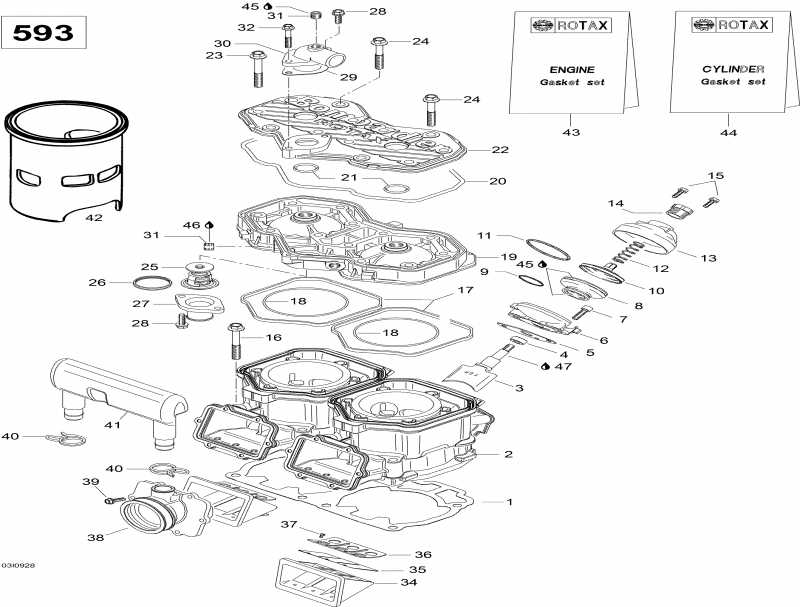  Skidoo  Skandic WT 600, 2009 - Cylinder And Cylinder Head