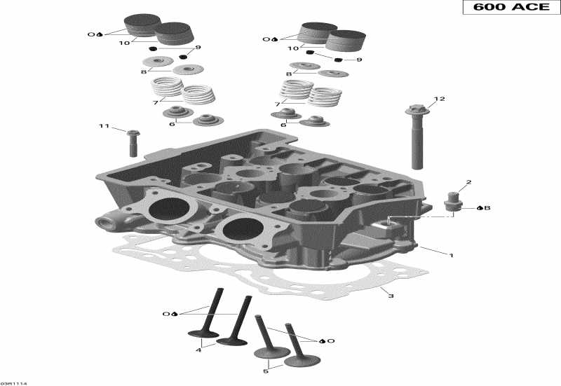 Ski Doo MXZ TNT 600ACE, 2011  - Cylinder Head