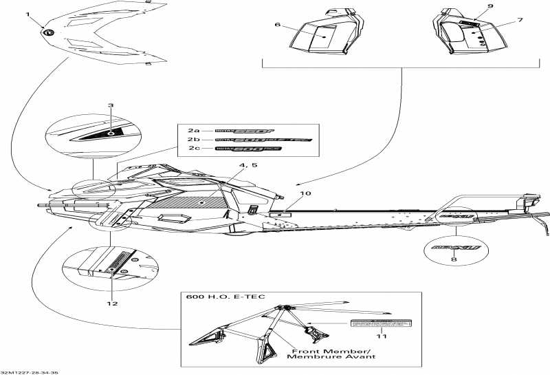 snowmobile  Tundra Sport 600ACE LFF, 2012 - Decals