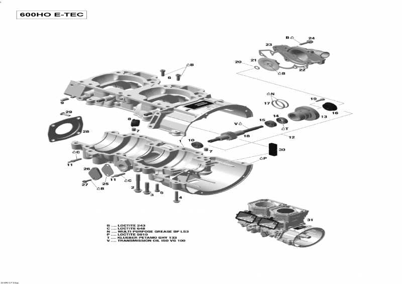 SKIDOO - Crankcase And Water Pump 600ho E-tec