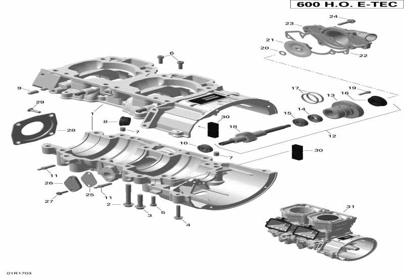 snowmobile BRP RENEGADE - 2-STROKE - 600 CARB_600HO E-TEC_800R E-TEC, 2017  - Crankcase And Water Pump 600ho E-tec