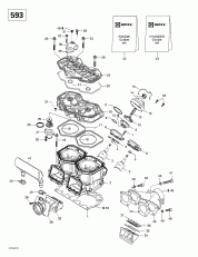 01- ,   (593) (01- Cylinder, Exhaust Manifold (593))