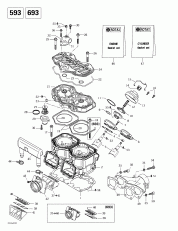 01- ,  ,   (593 (01- Cylinder, Exhaust Manifold, Reed Valve (593)