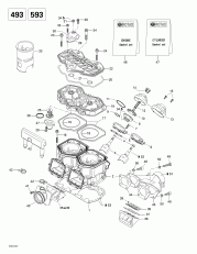 01- ,  ,   (493 (01- Cylinder, Exhaust Manifold, Reed Valve (493)