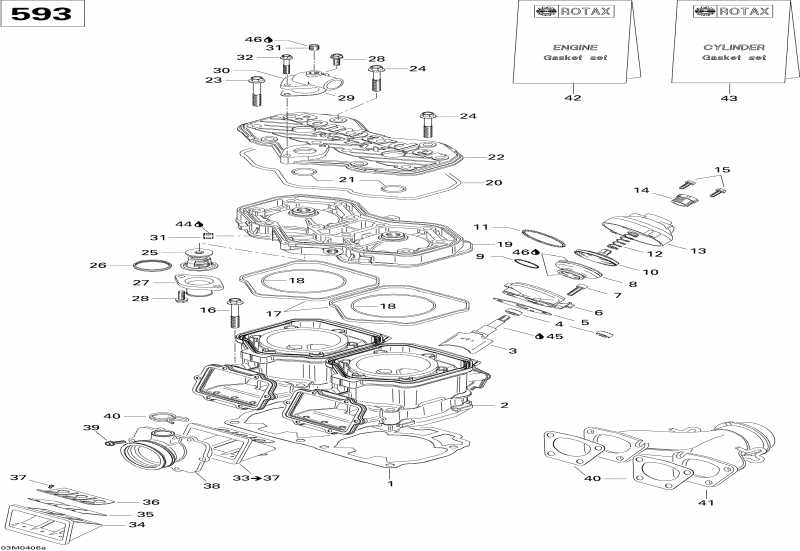 BRP - Cylinder, Exhaust Manifold, Reed Valve (593)