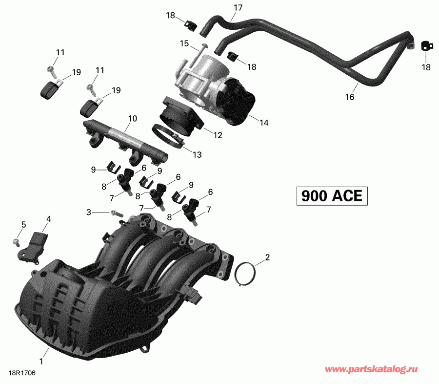 �������� Skidoo ������ EXPEDITION LE/SE 900 ACE, 2018 - �������� ������� � �������� ���� 900 Ace