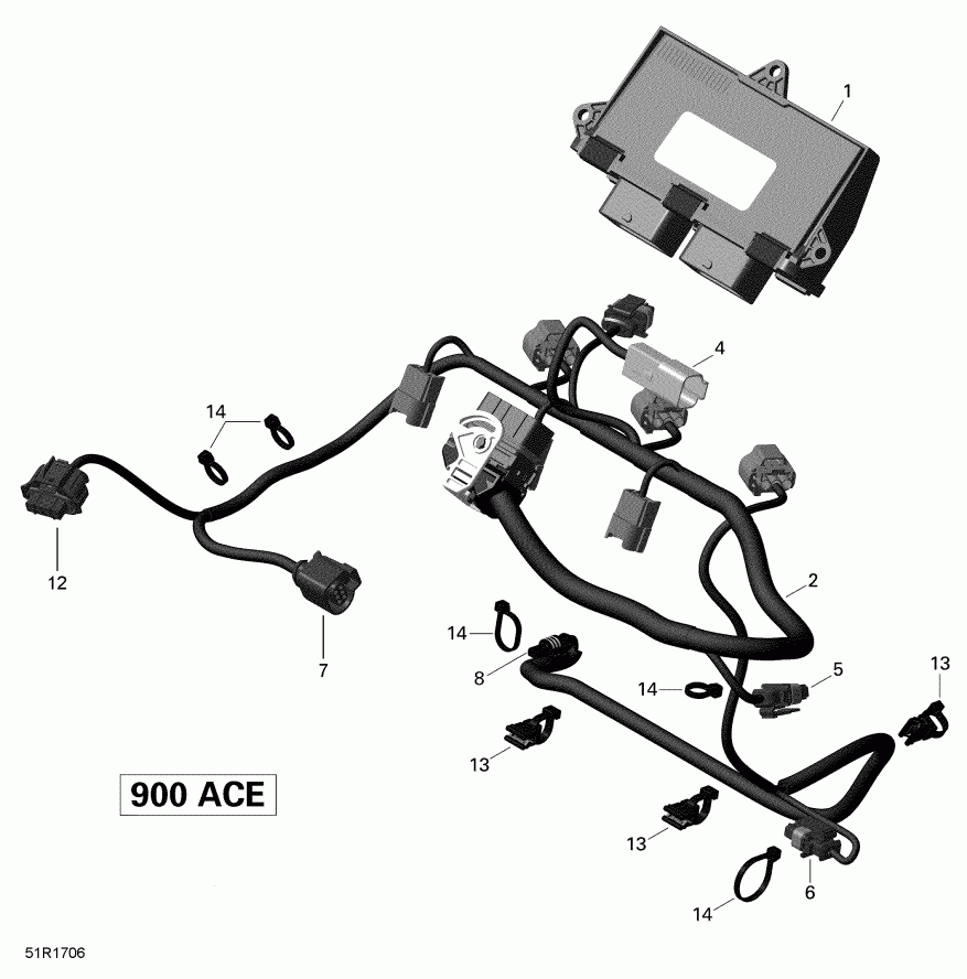  - Engine Harness And Electronic Module 900 Ace