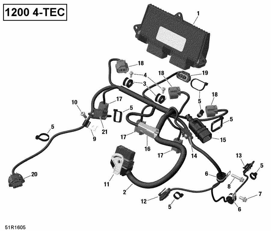  BRP EXPEDITION LE/SE 1200 4-TEC, 2018 - Engine Harness And Electronic Module 1200itc 4-tec