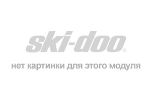 snowmobile Skidoo  GSX Limited 600 H.O. E-TEC, 2009 - Ski-doo Publications