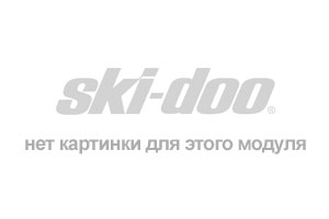 snowmobile Ski Doo Expedition TUV SE 600HO SDI XU, 2010 - Ski-doo Publications