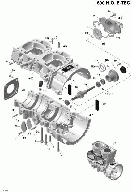 ����������� EXPEDITION LE 600HOE, REV XU, 2013 - Crankcase And Water Pump