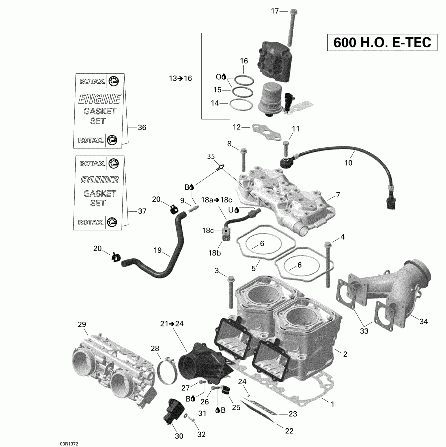  BRP  EXPEDITION LE 600HOE, REV XU, 2013 - Cylinder And Cylinder Head Le