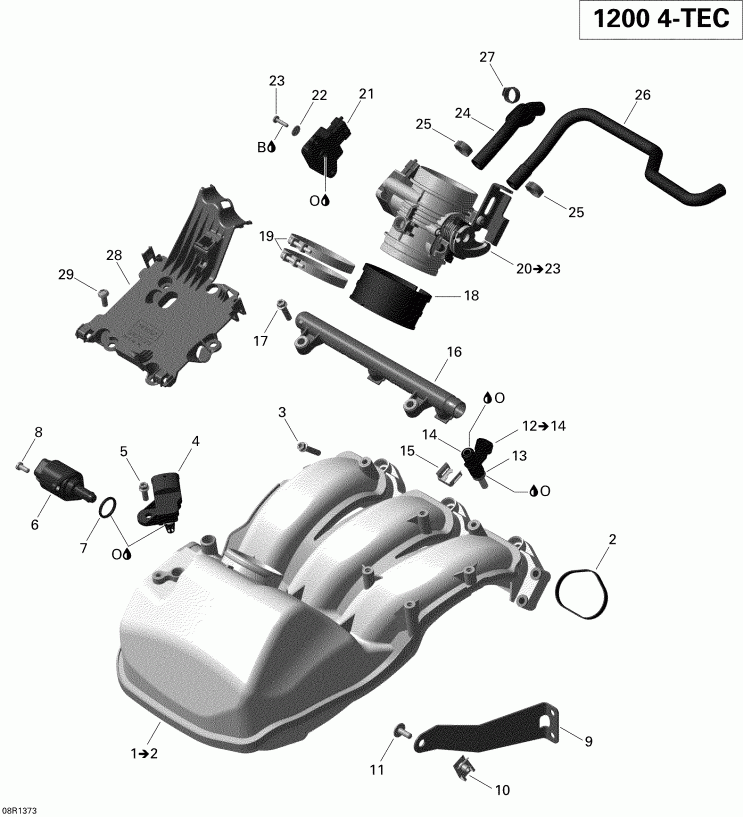  Skidoo EXPEDITION SE 12004TEC, REVXU, 2013 - Air Intake Manifold And Throttle Body