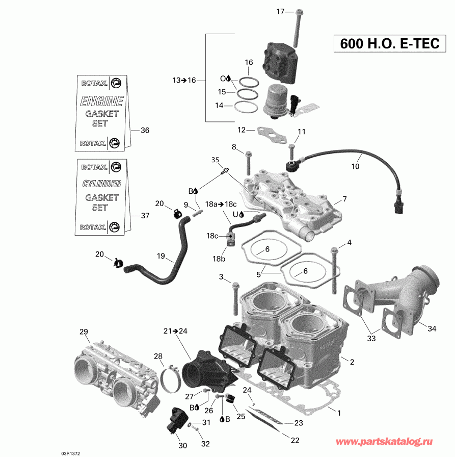 snowmobile  EXPEDITION SE 600HOE, REV XU, 2013 - Cylinder And Cylinder Head