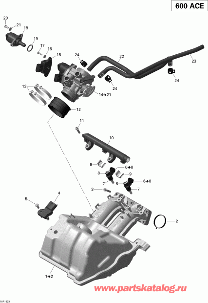    EXPEDITION SPORT 600 ACE (4-TEMPS) XP, 2013 - Air Intake Manifold And Throttle Body