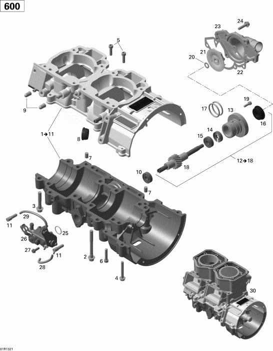  BRP GRAND TOURING SPORT 600 XP, 2013 - Crankcase, Water Pump And Oil Pump