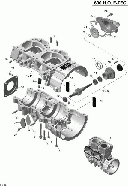 BRP  MXZ XRS 600HOE, 2013 - Crankcase And Water Pump