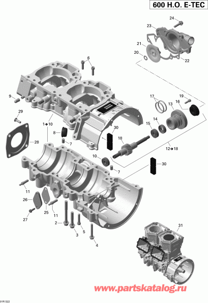 snowmobile Ski Doo RENEGADE X 600HOE, 2013 - Crankcase And Water Pump