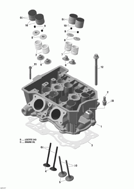 Skidoo - Cylinder Head