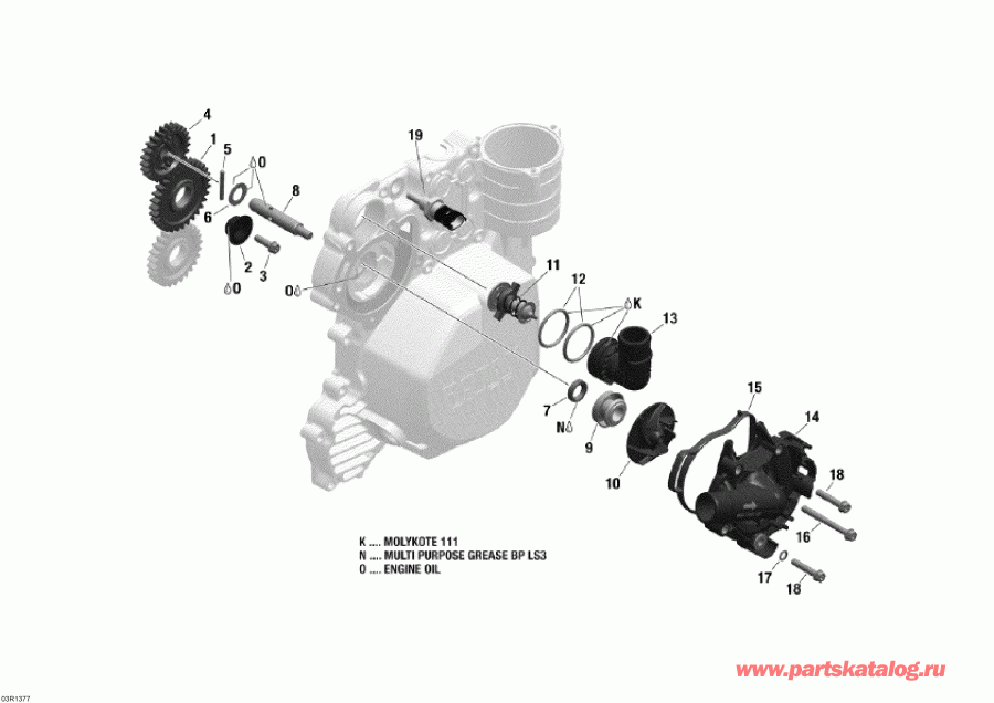 �������� ski-doo ������ Skandic SWT 600 ACE (4-strokes) XU, 2013 - ���������� ���������