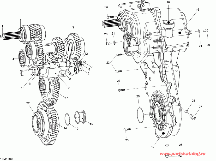 �������� BRP ������ Skandic SWT 600 ACE (4-strokes) XU, 2013 - Transmission