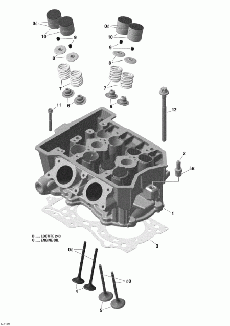 �������� BRP ������ Skandic WT 600 ACE (4-strokes) XU, 2013 - Cylinder Head