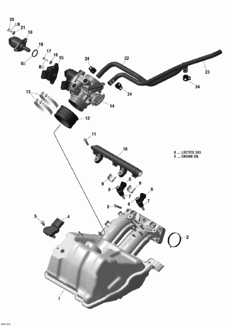 Skandic WT 600 ACE (4-strokes) XU, 2013 - Air Intake Manifold And Throttle Body