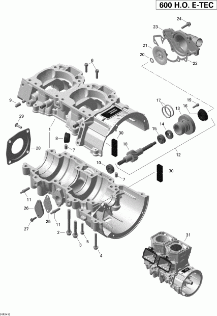   RENEGADE BACKCOUNTRY X 600HOE XS, 2014  - Crankcase And Water Pump
