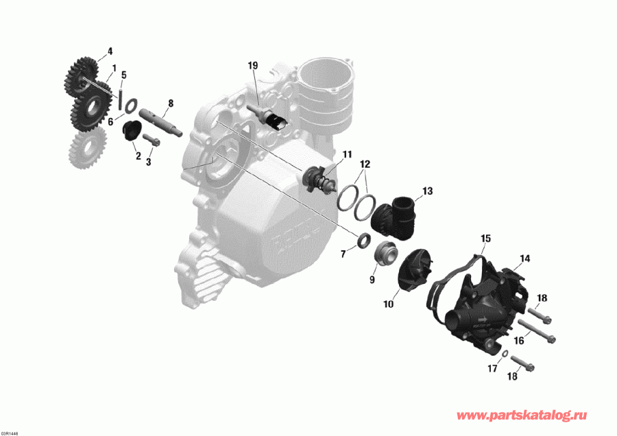snowmobile  Skandic SWT 600 ACE (4-strokes) XU, 2014 ������ - Cooling System