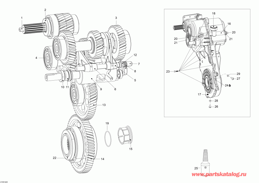   Skandic WT 600 ACE (4-strokes) XU, 2014  - Transmission