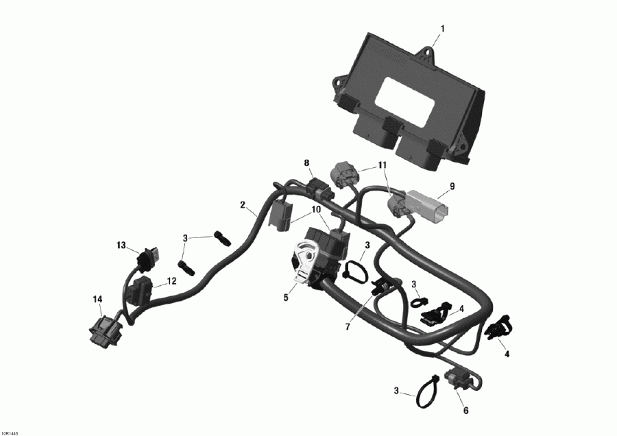 snowmobile Ski Doo - Engine Harness