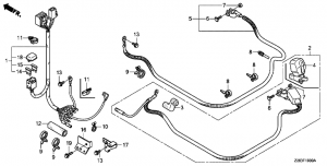 F-19   (F-19 Harness)