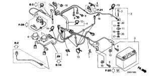 F-19    (F-19 Harness Motor)