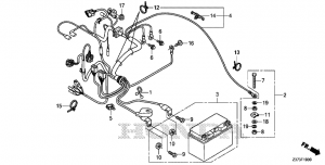 F-19    (F-19 Harness Motor)