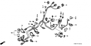 F-13-21   (2) (F-13-21 Harness (2))