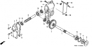 F-19-20   (F-19-20 Auger Transmission)