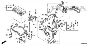 F-13-1   (2) (F-13-1 Harness (2))