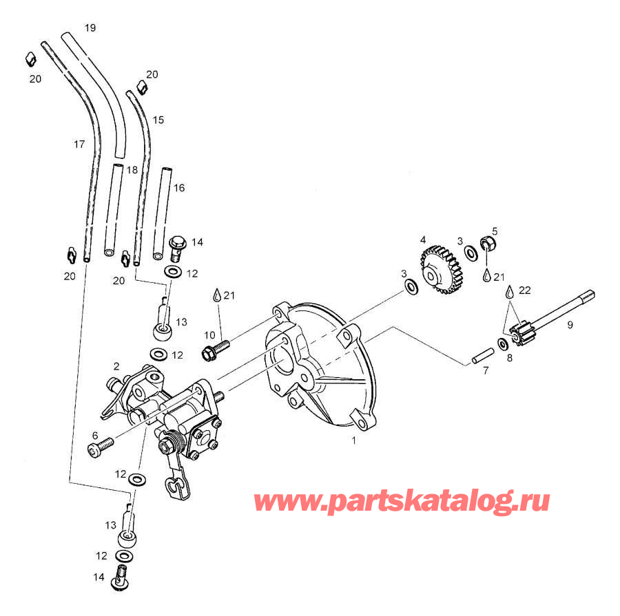 Snow mobile lynx  - Rewind  - Rewind Starter