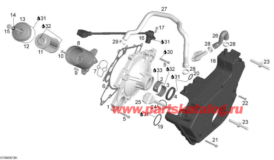 Snowmobile Lynx  - Oil System