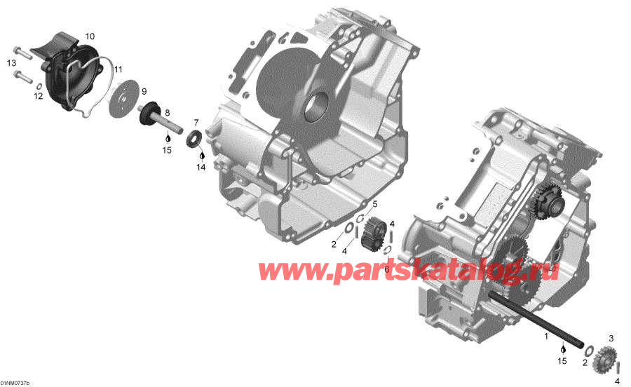 Snowmobiles Lynx  - Water