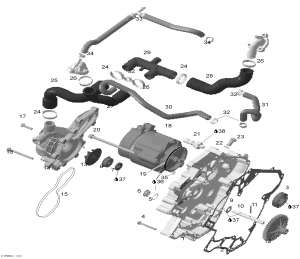 01- Water   (01- Waterpump And Alternator)
