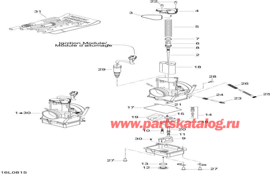 Snow mobile   -  - Carburetor