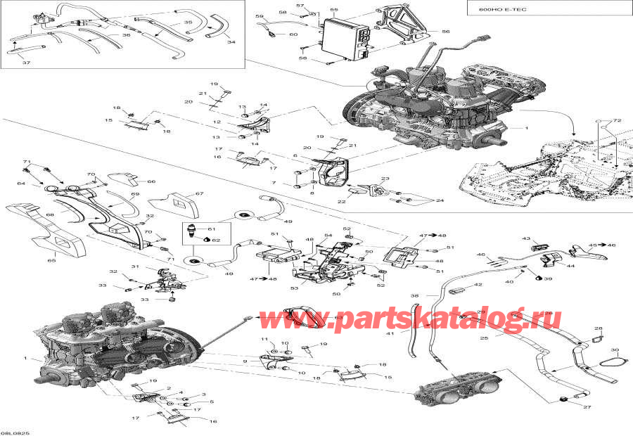 Snowmobiles �����  - ��������� � ��������� S����port