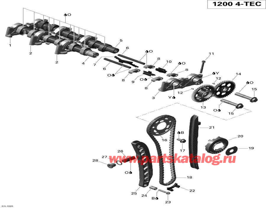 Snowmobile lynx  - Camshafts And Timing Chain /     