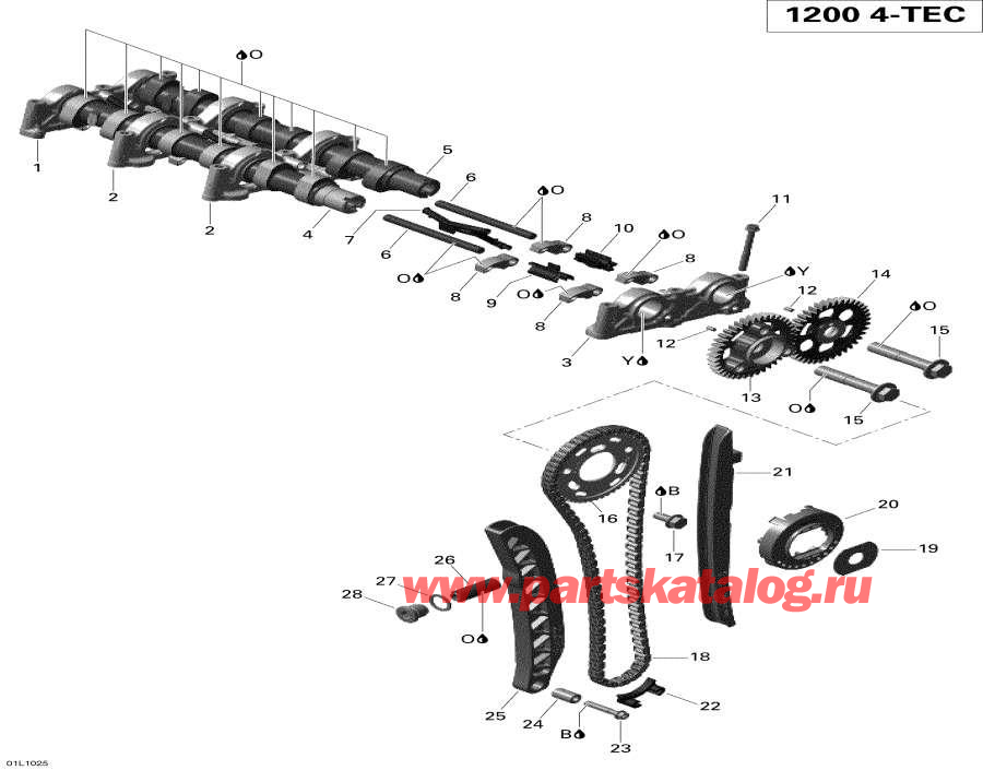 Snowmobiles   -      / Camshafts And Timing Chain
