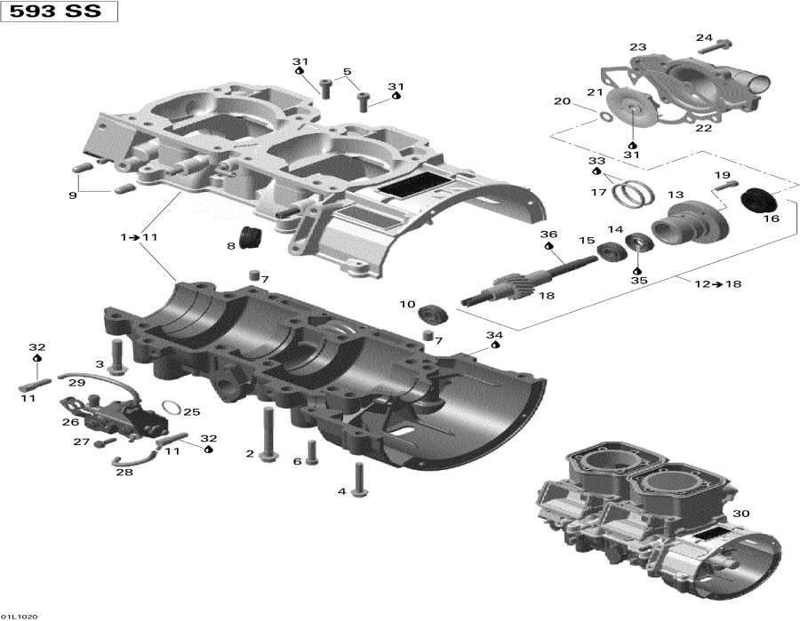 Snowmobile lynx  -       / Crankcase, Water Pump And Oil Pump