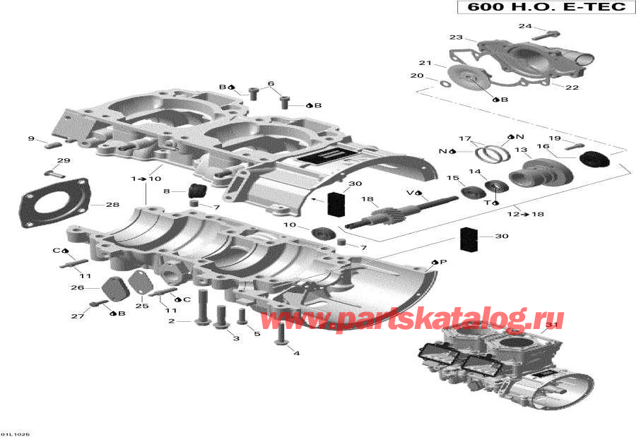    - Crankcase And Water Pump /     