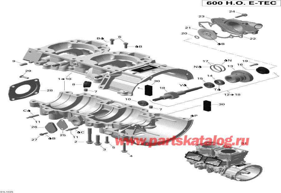 Snowmobiles   - Crankcase And Water Pump -     