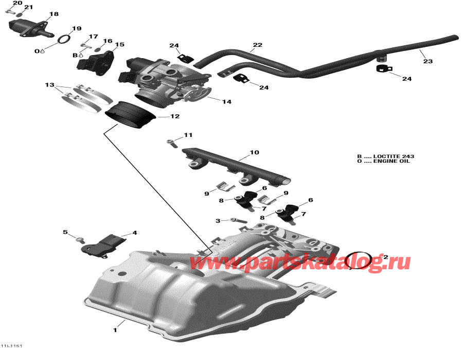 Snowmobile   -     