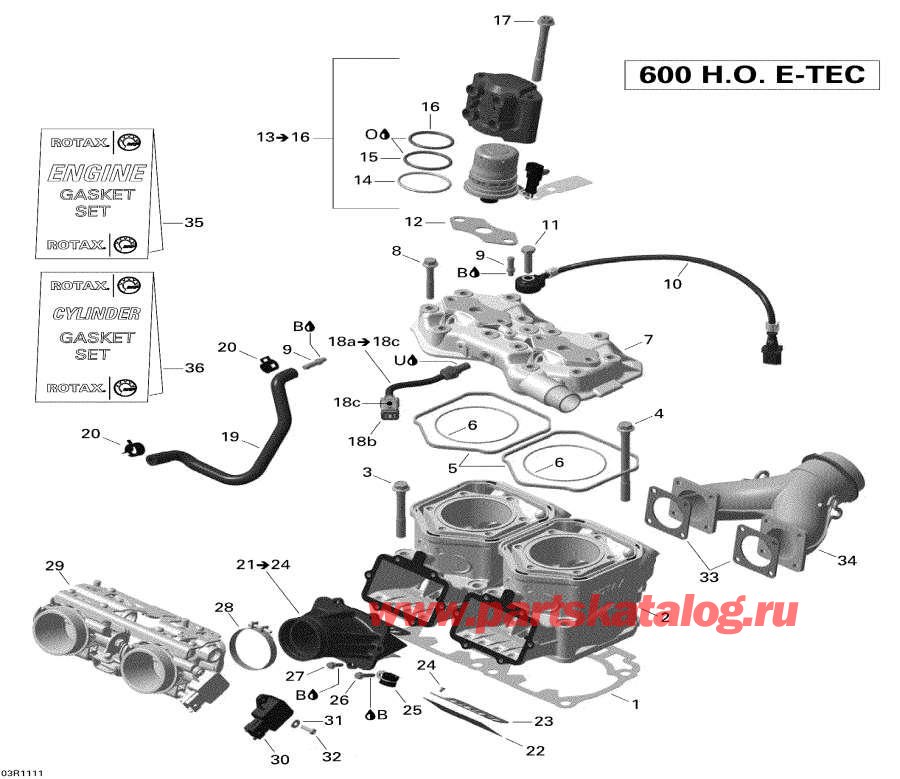 Snowmobile   - Cylinder And Injection System /   Injection System